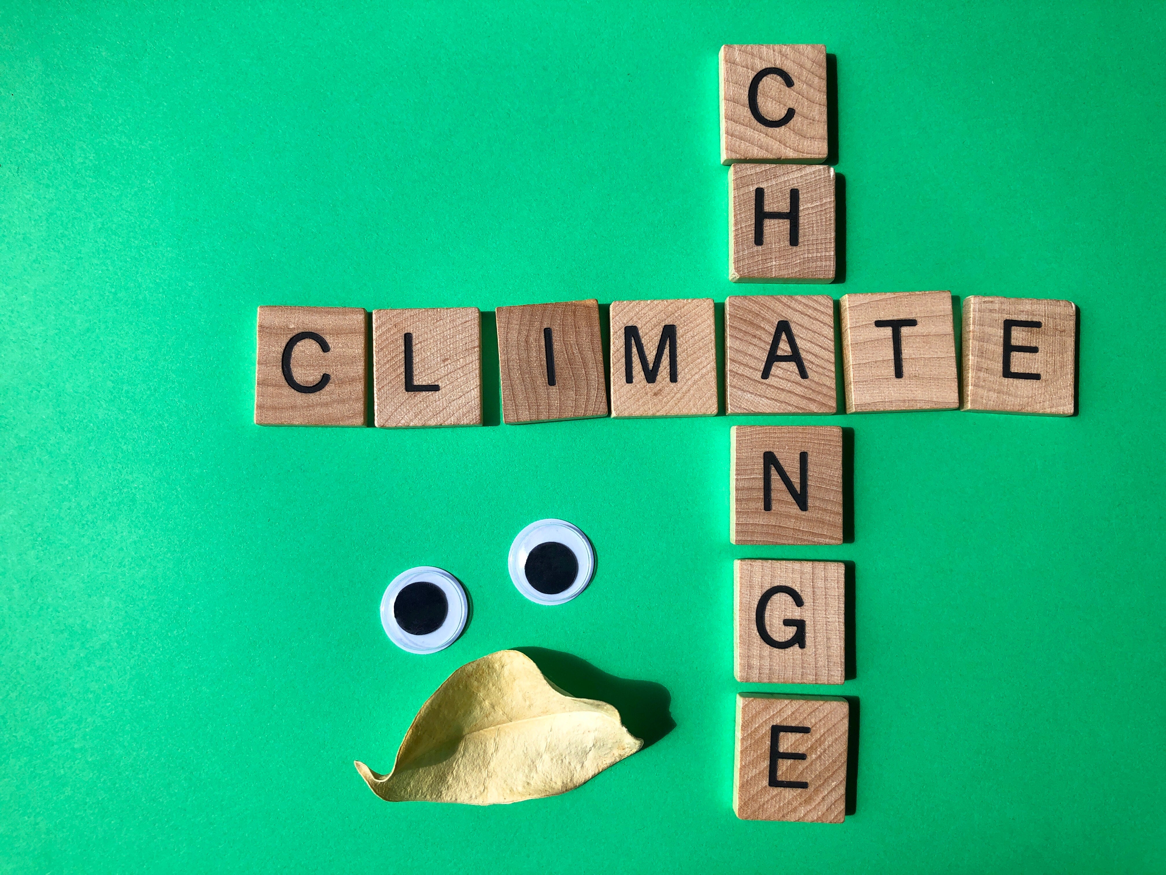 Wie kann Solarenergie dem Klimawandel entgegenwirken?